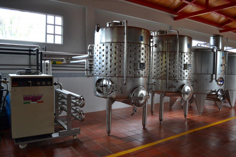 cave-LE CANNET-min_wine_production_cantine_winery_drink_alcohol_vine_beverage-902036